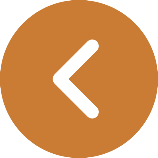 icon-prev